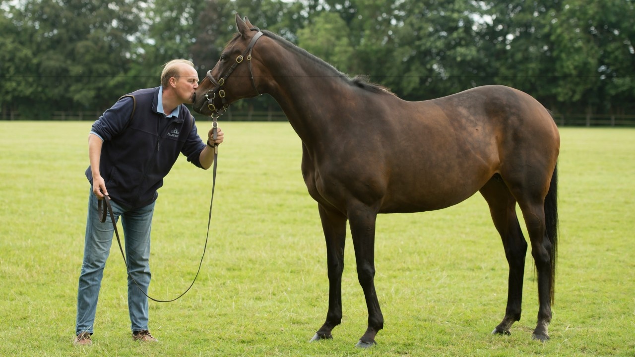 Champion 21YO Ouija Board Passes Away Image 1